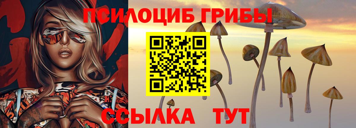 Галлюциногенные грибы прущие грибы Югорск